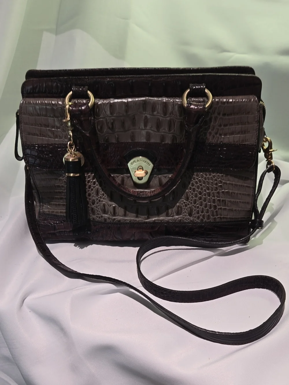 Brahmin Croc-Embossed Satchel in Dark Brown and Black